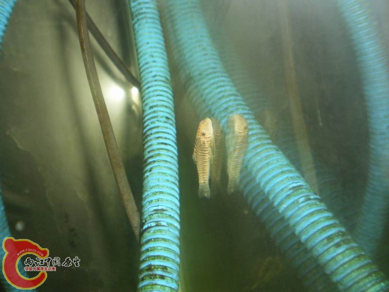 PA050433.JPG