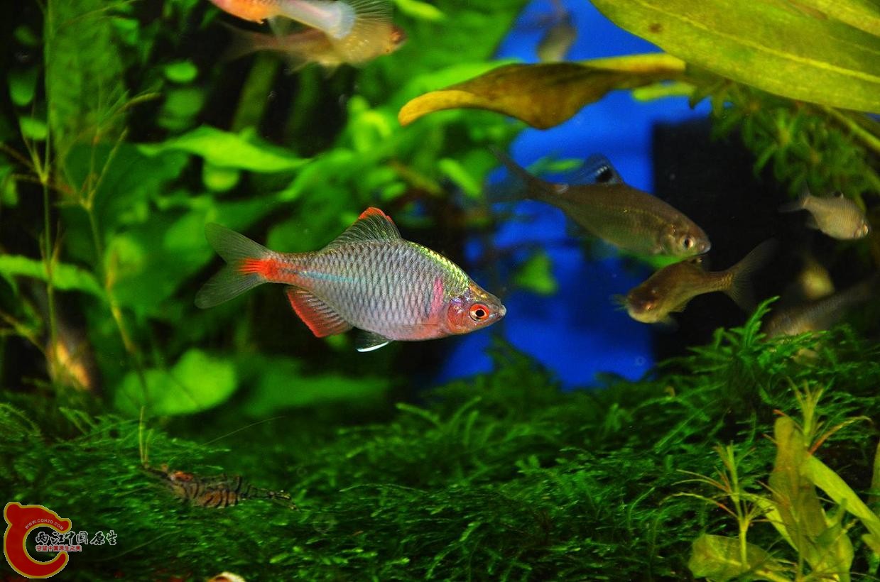 DSC_4251.JPG