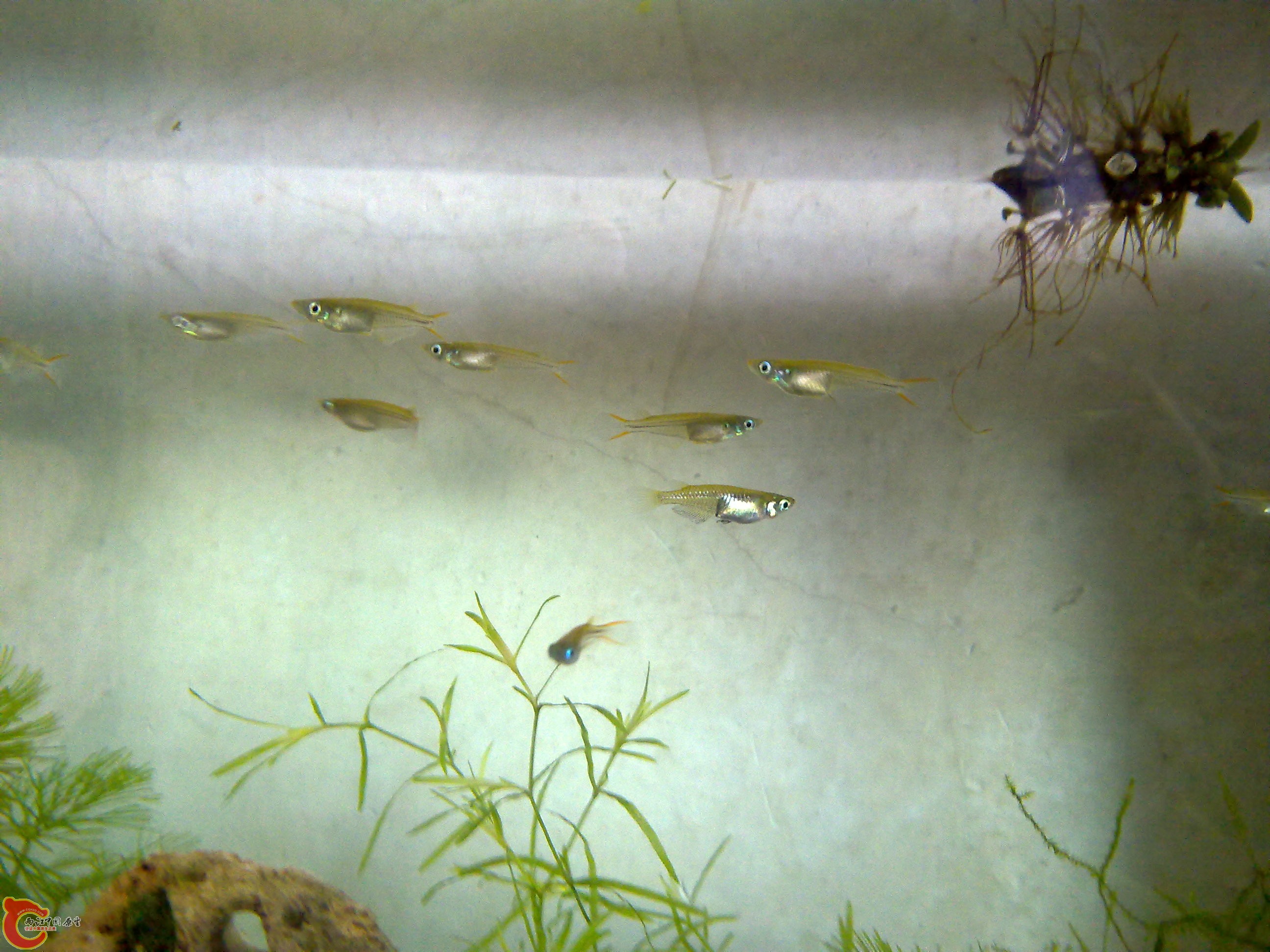 201111051329.jpg