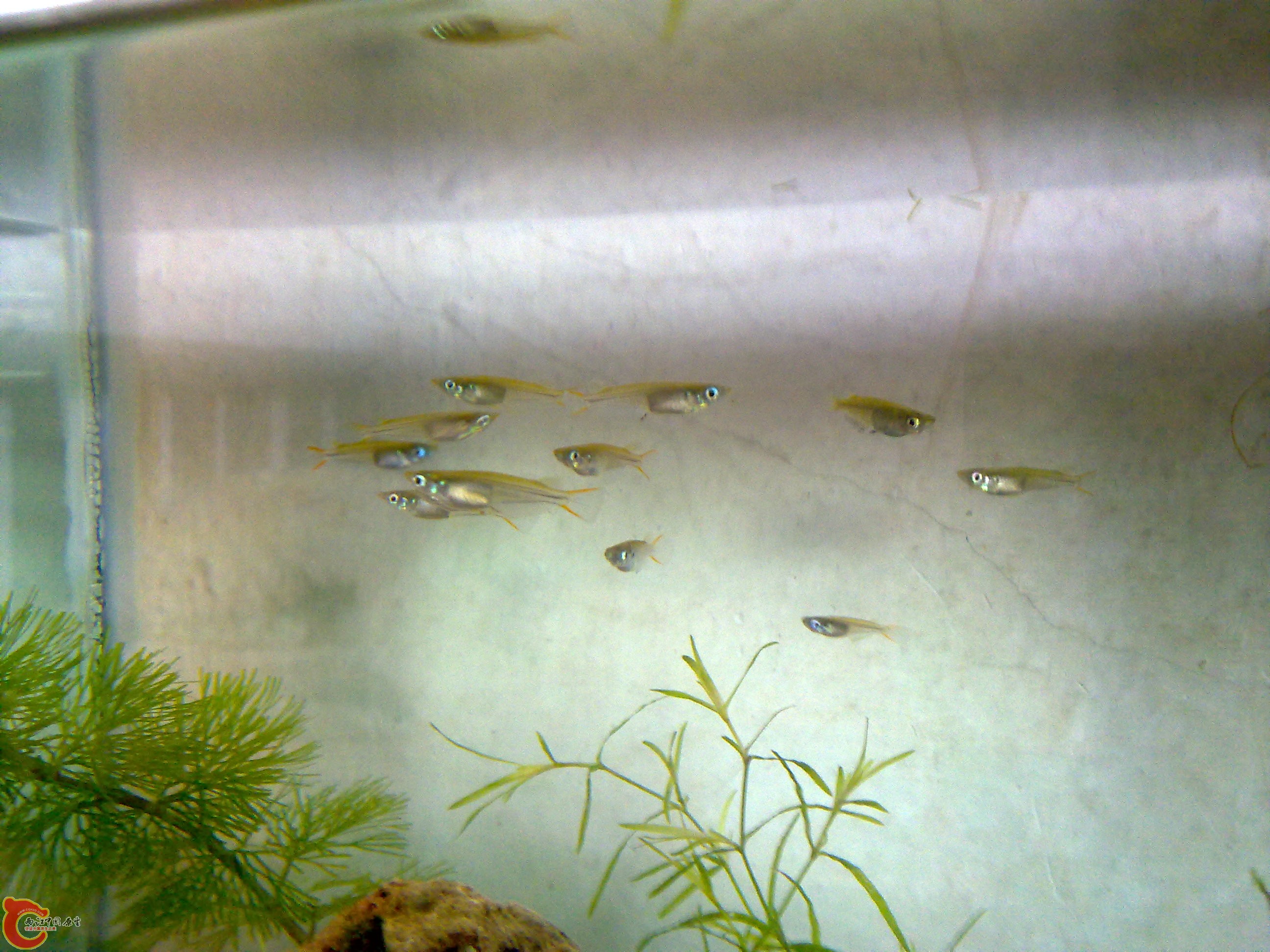 201111051318.jpg