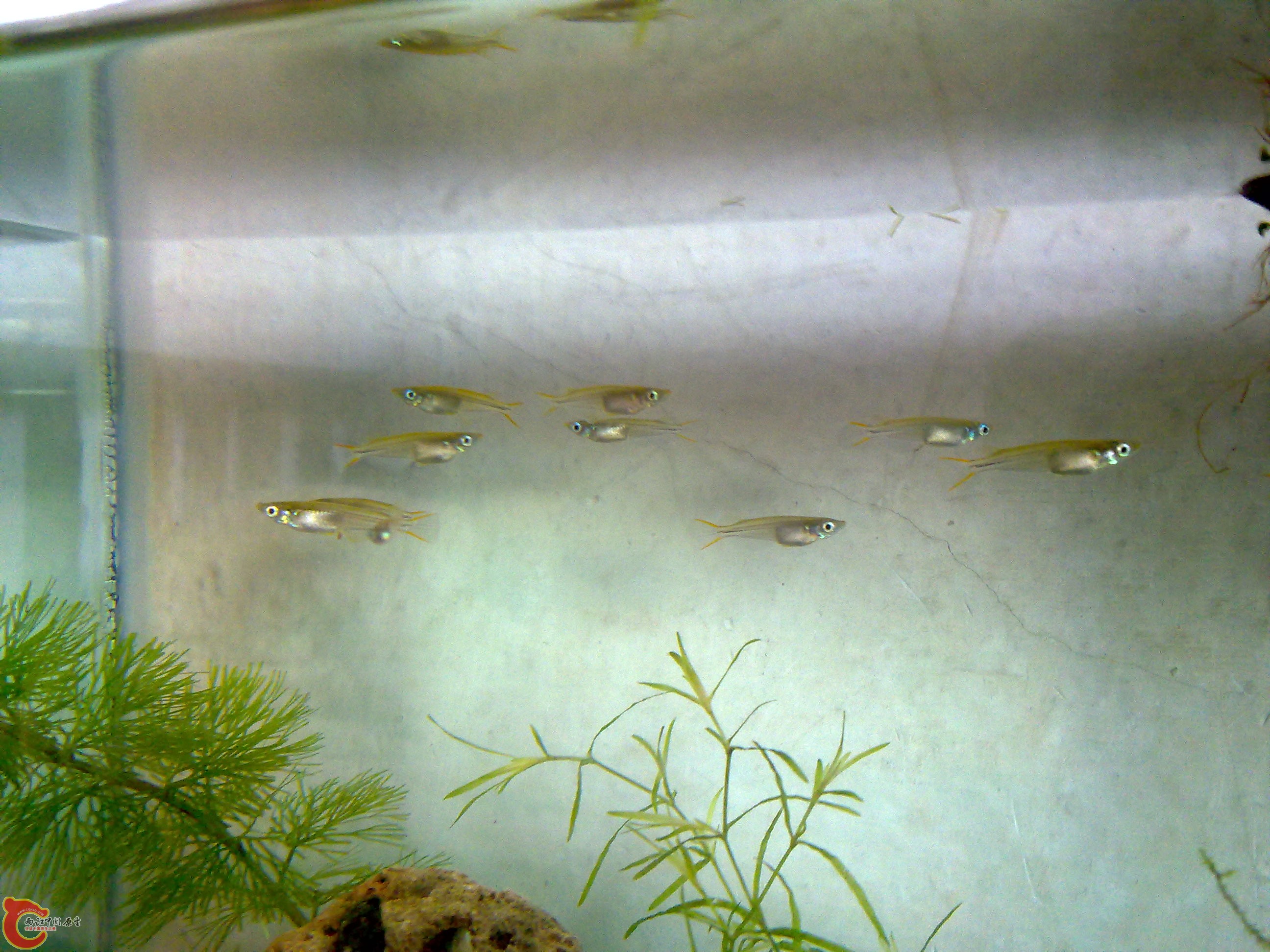 201111051319.jpg