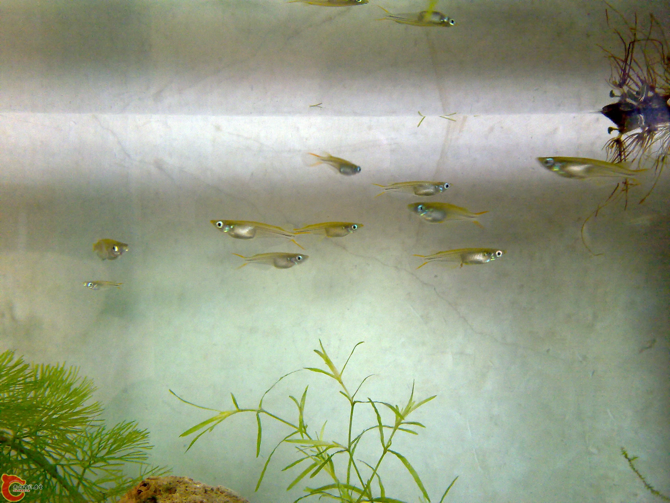 201111051320.jpg