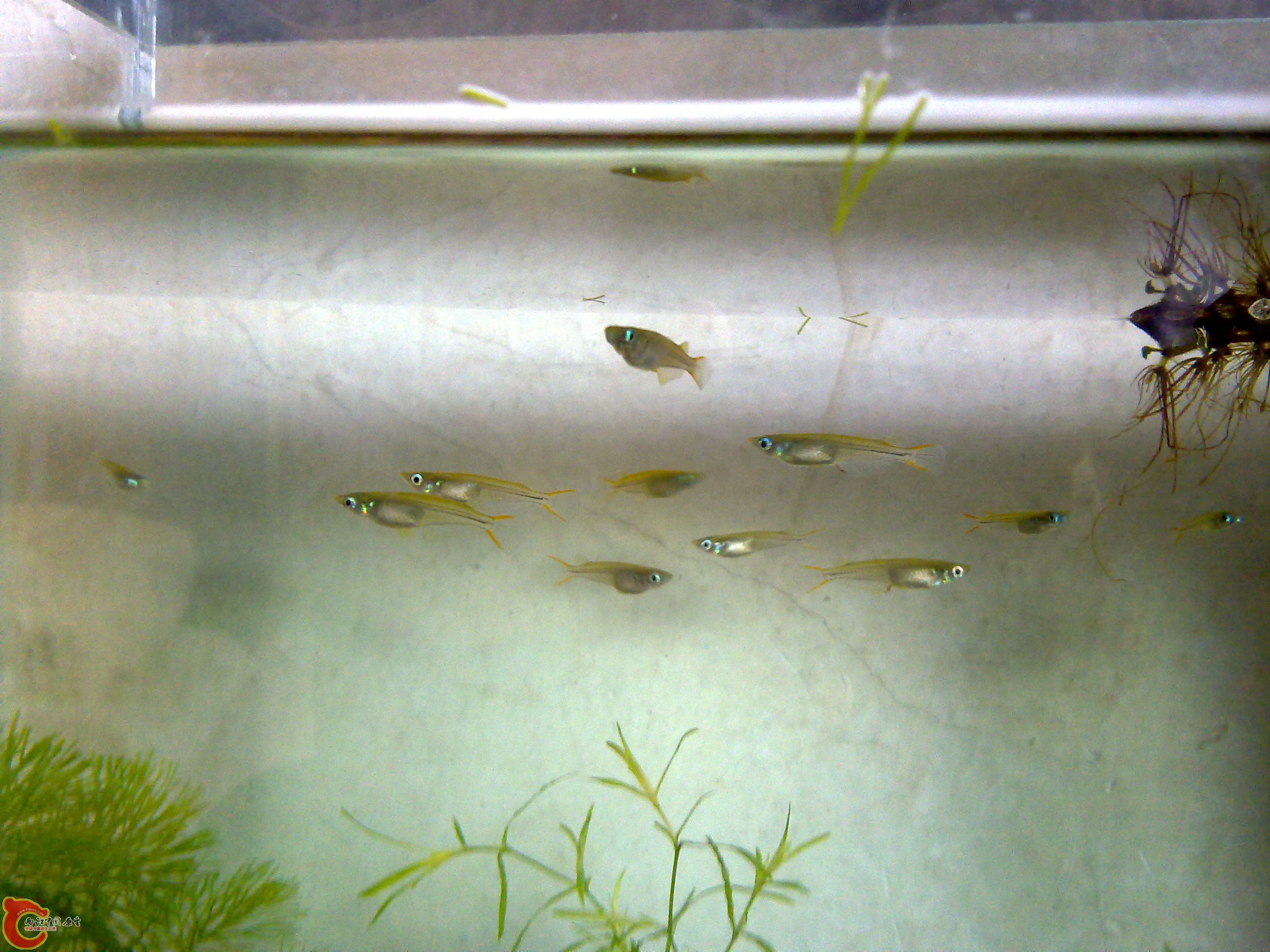 201111051321.jpg