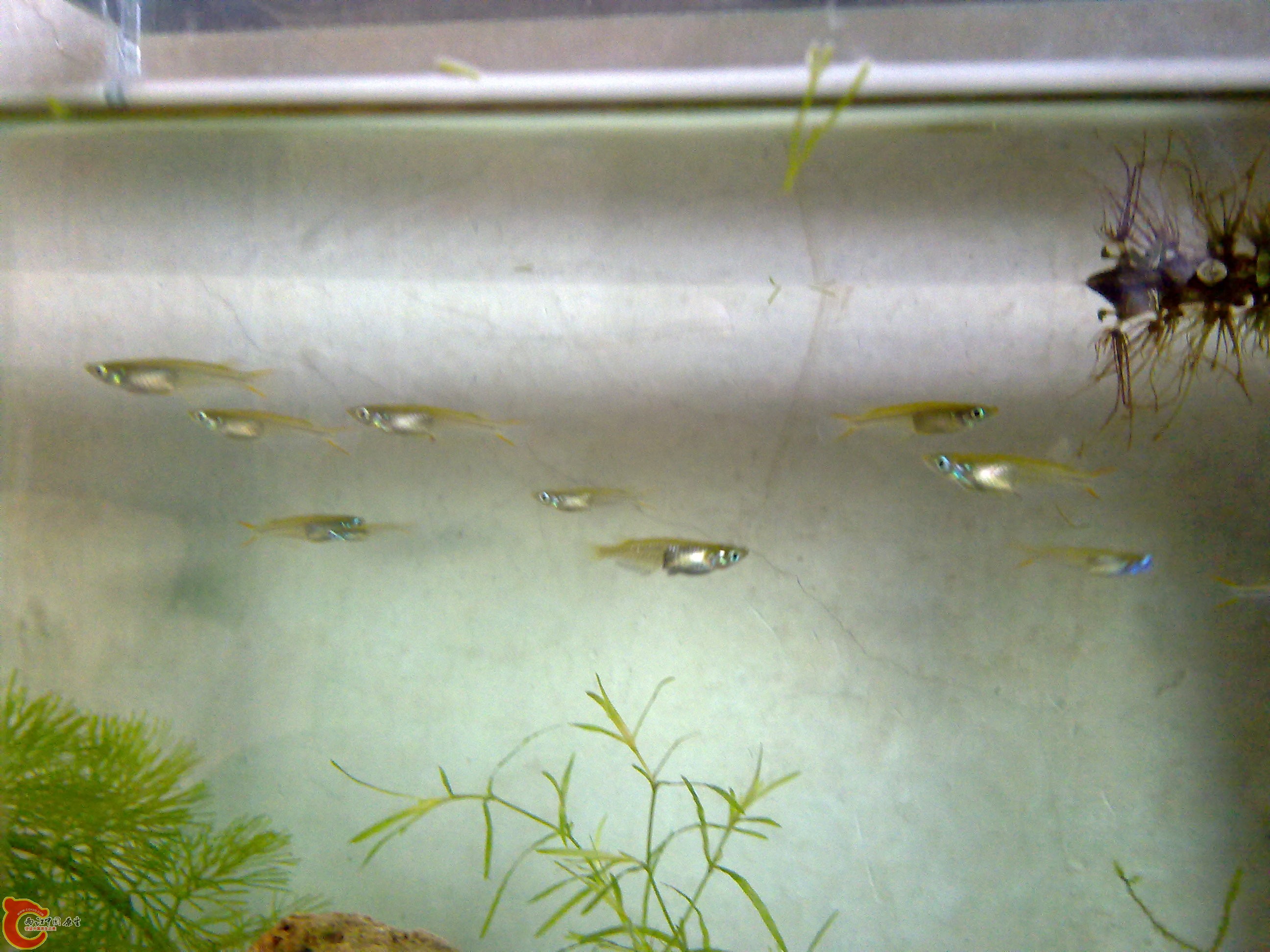 201111051322.jpg