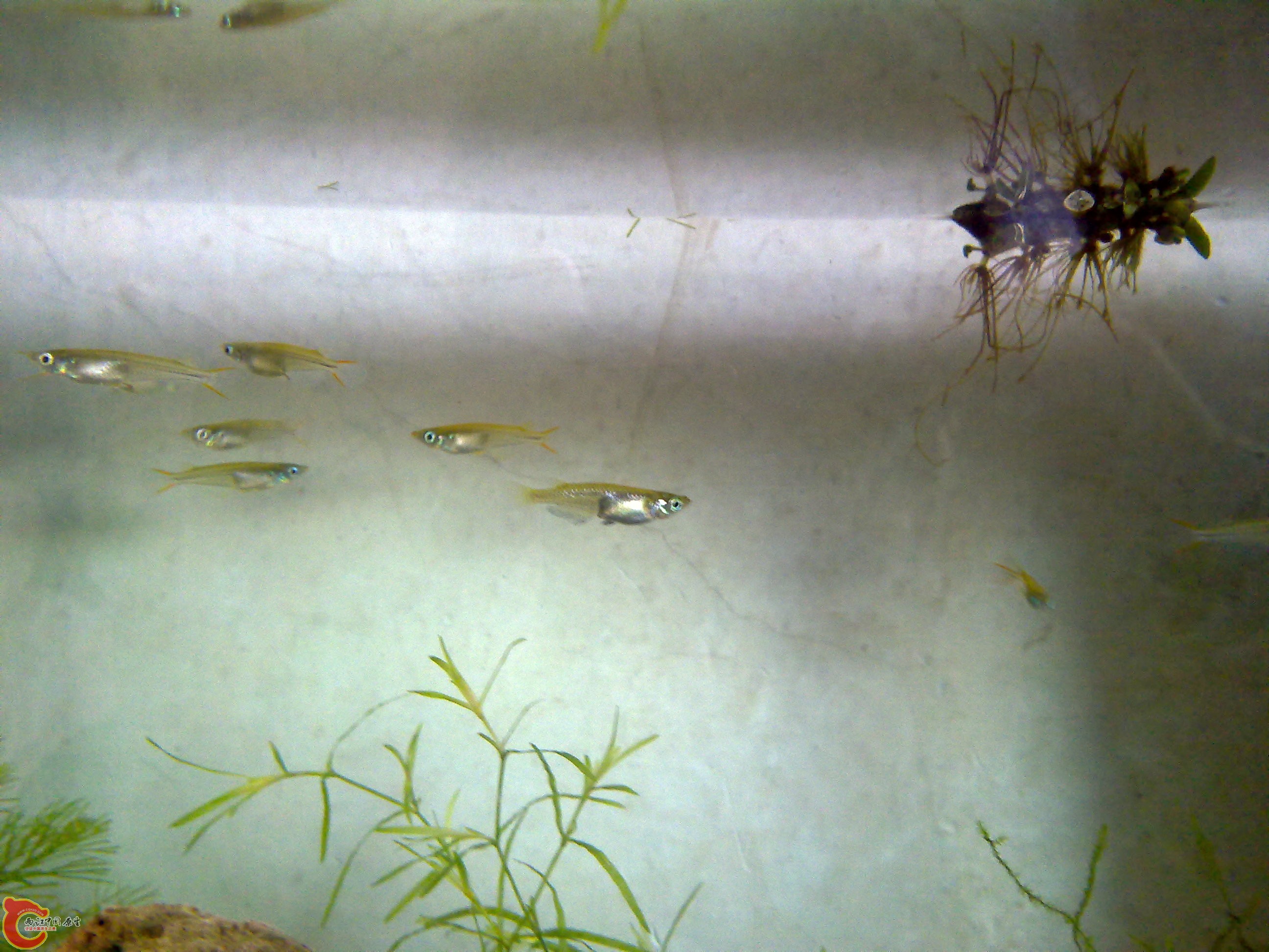 201111051323.jpg