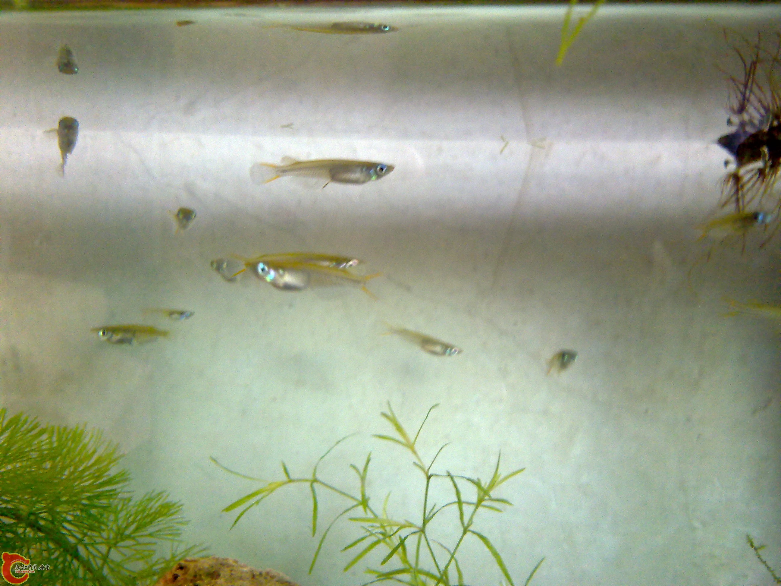 201111051324.jpg