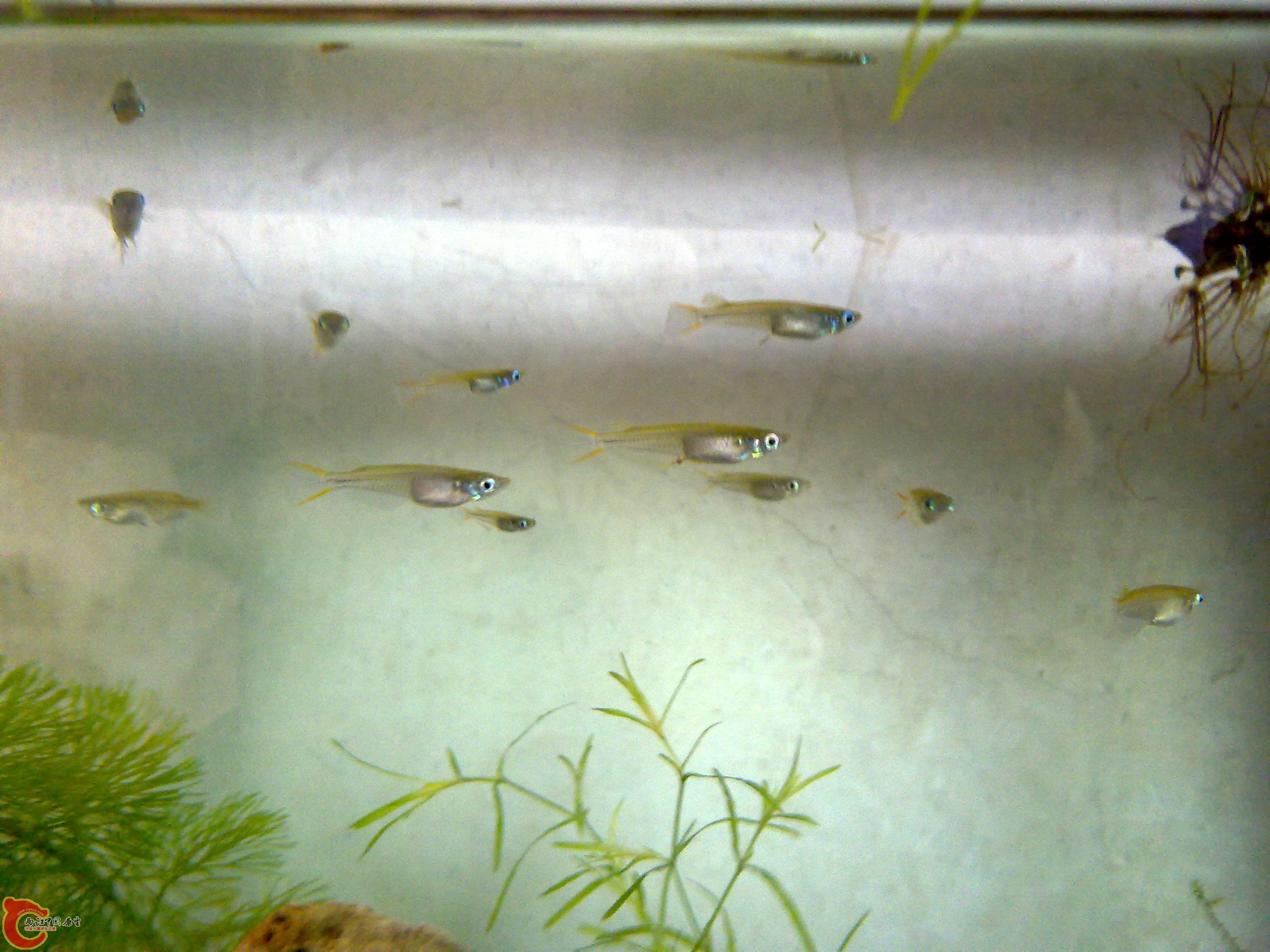 201111051325.jpg