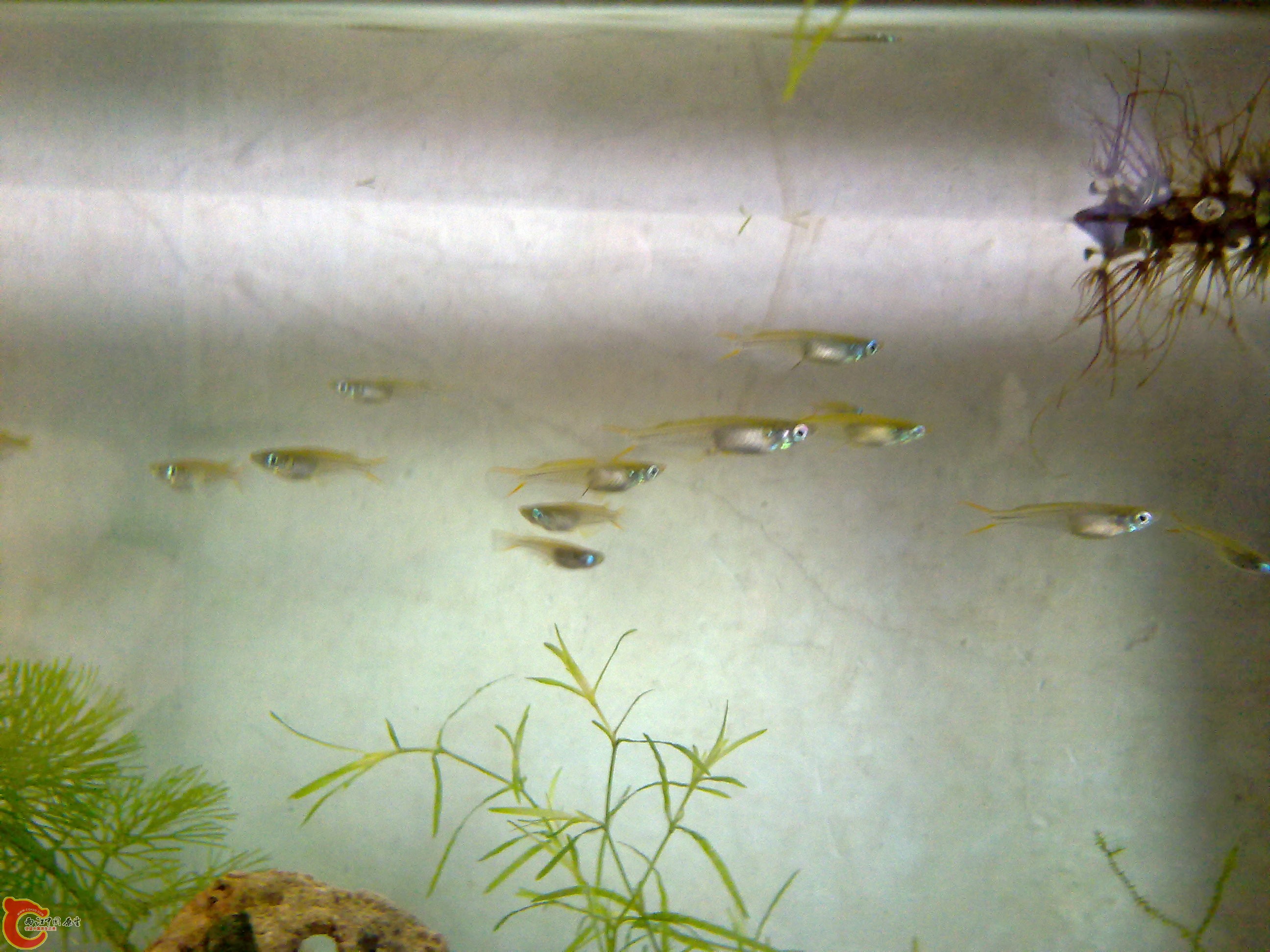 201111051326.jpg