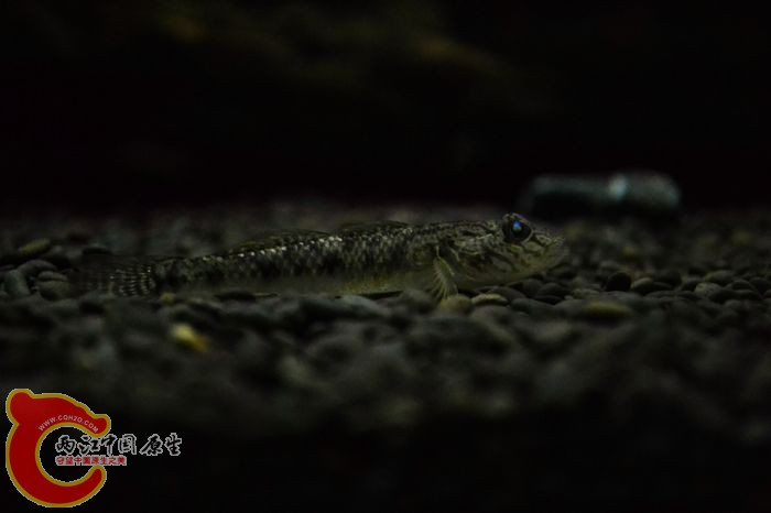 nEO_IMG_DSC_0356.jpg