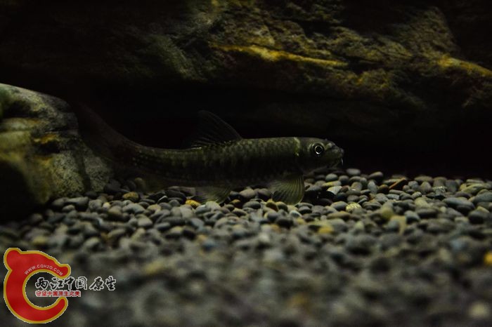 nEO_IMG_DSC_0358.jpg