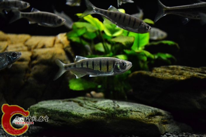 nEO_IMG_DSC_0396.jpg