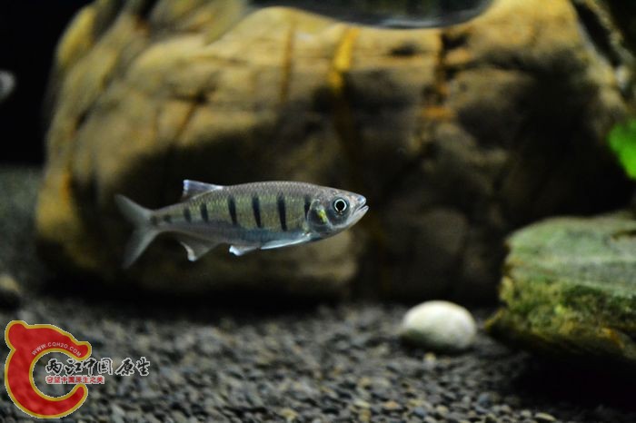 nEO_IMG_DSC_0418.jpg