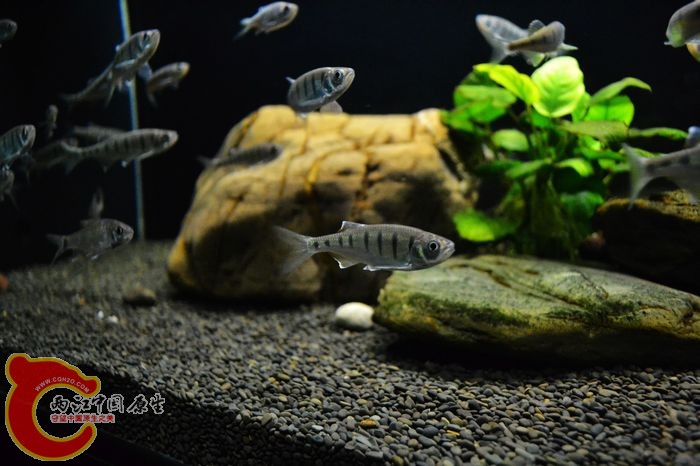 nEO_IMG_DSC_0428.jpg