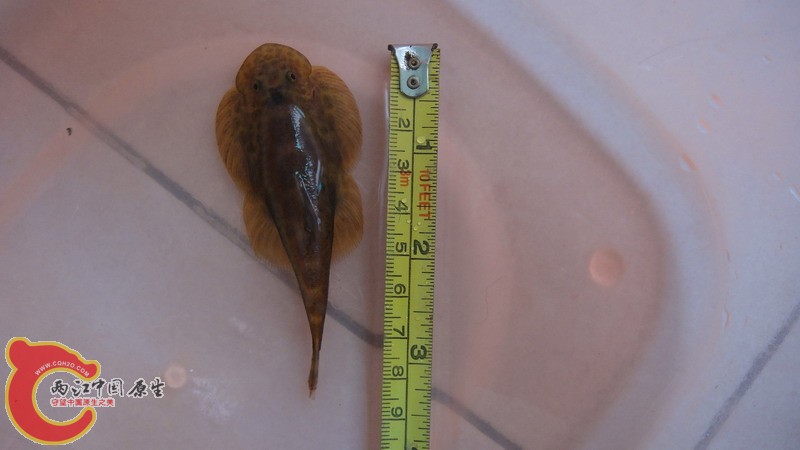 DSC07680_缩小大小.JPG