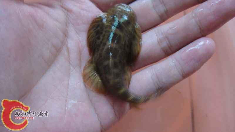 DSC07669_缩小大小.JPG