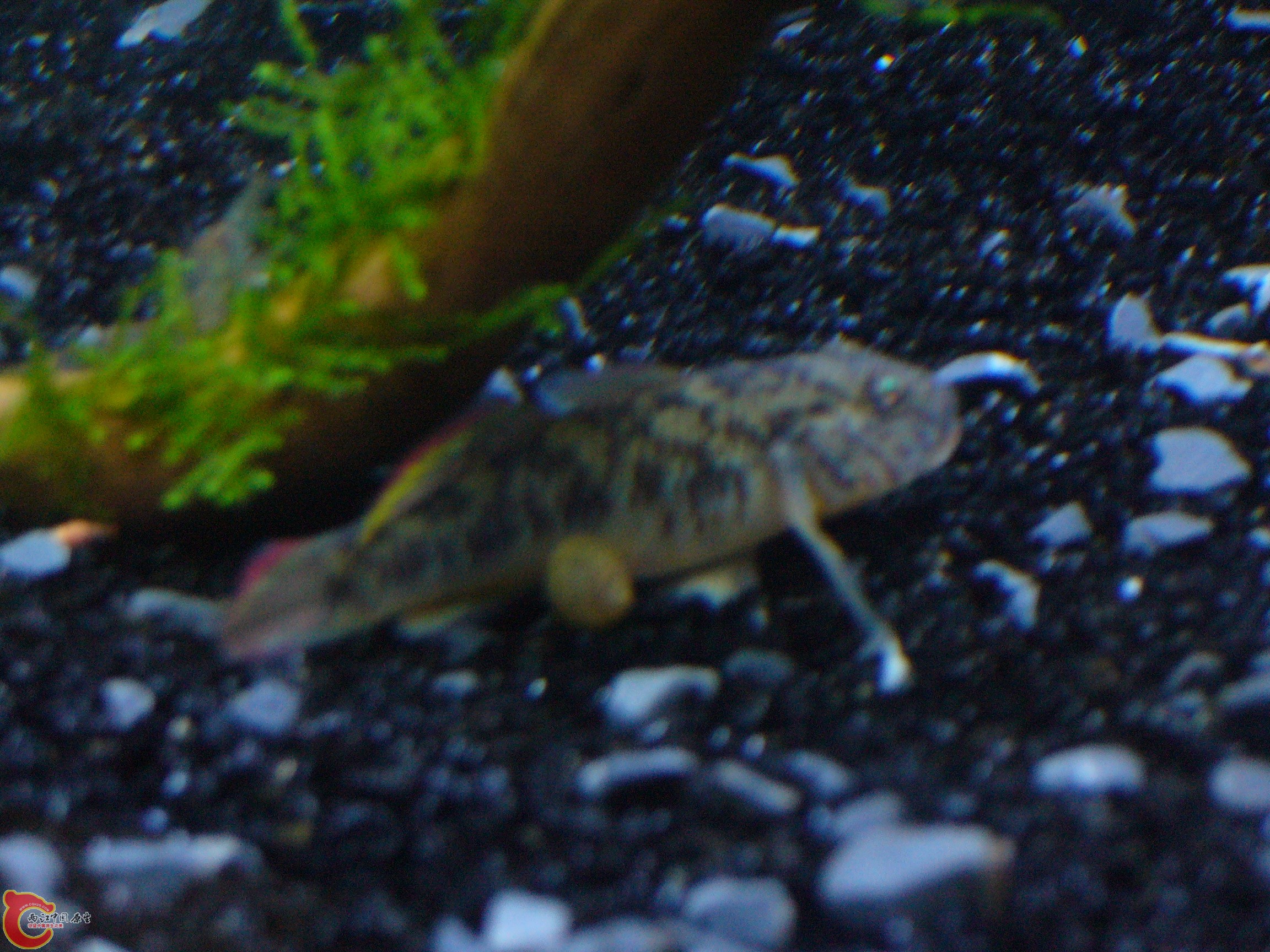 P1050053.JPG