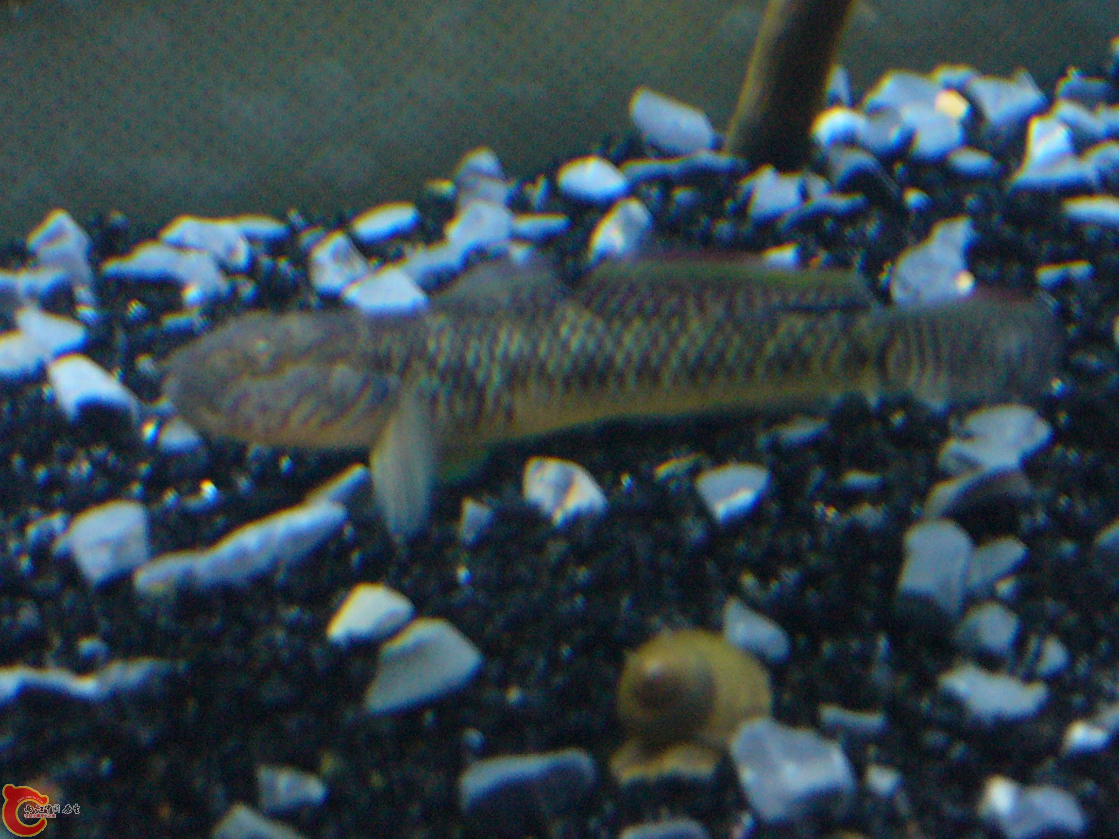 P1050055.JPG