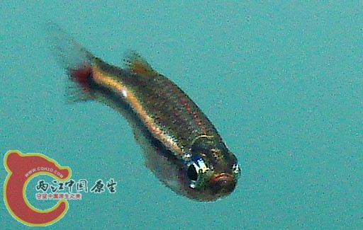 a3_副本.jpg