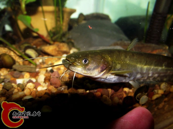 DSCF6963.jpg