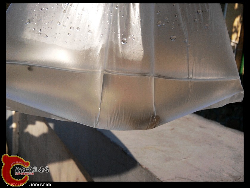 nEO_IMG_2011-11-06 15.20.00.jpg