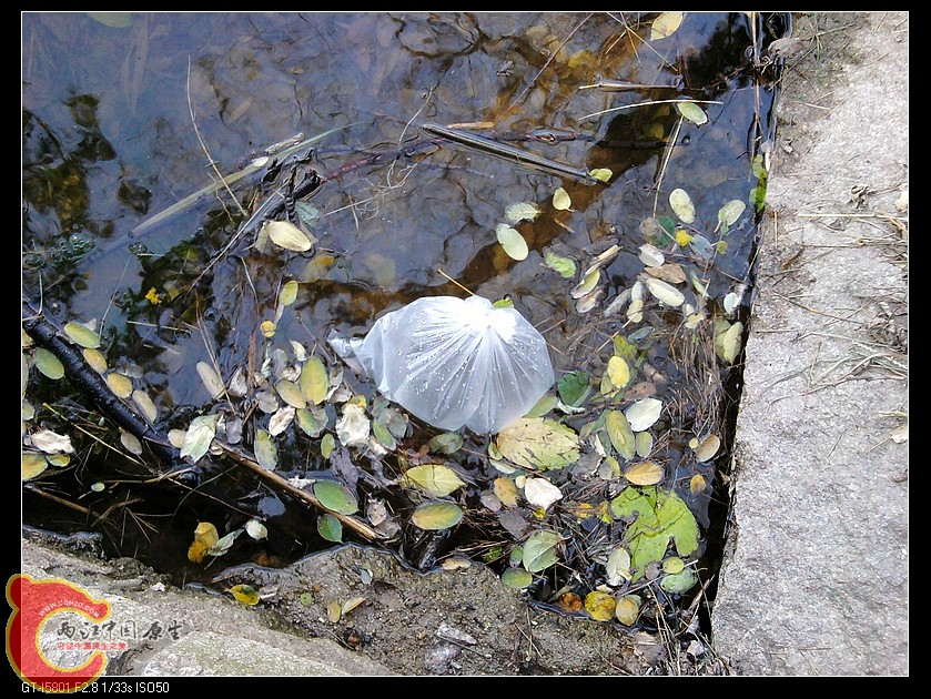 nEO_IMG_2011-11-06 15.40.47.jpg