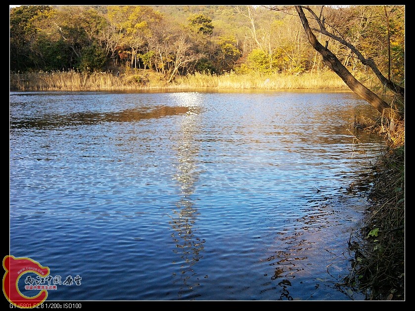 nEO_IMG_2011-11-06 15.42.02.jpg