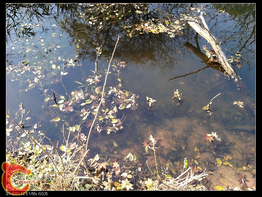 nEO_IMG_2011-11-06 15.48.58.jpg