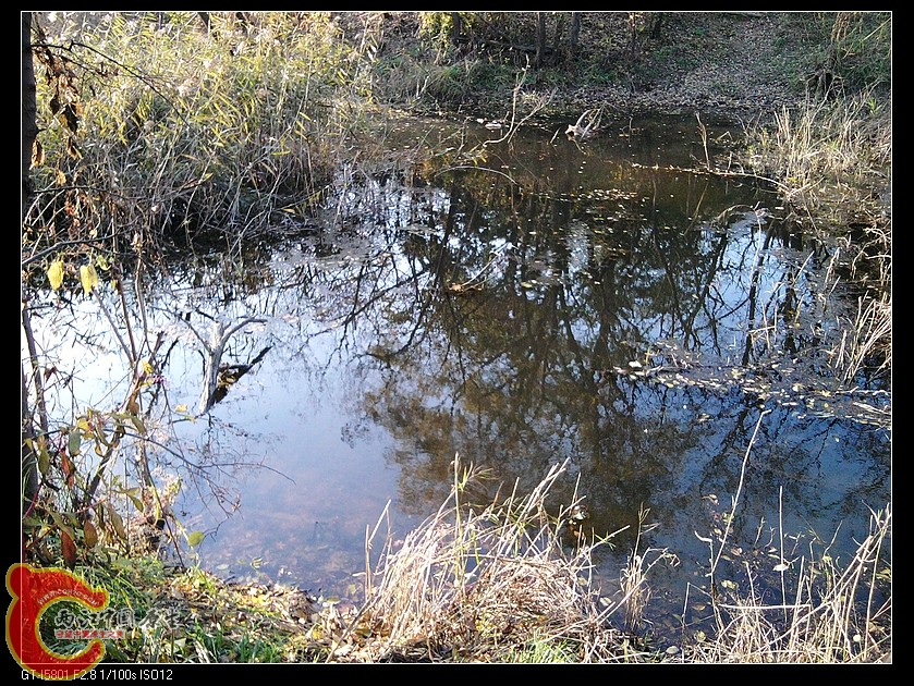 nEO_IMG_2011-11-06 15.49.54.jpg