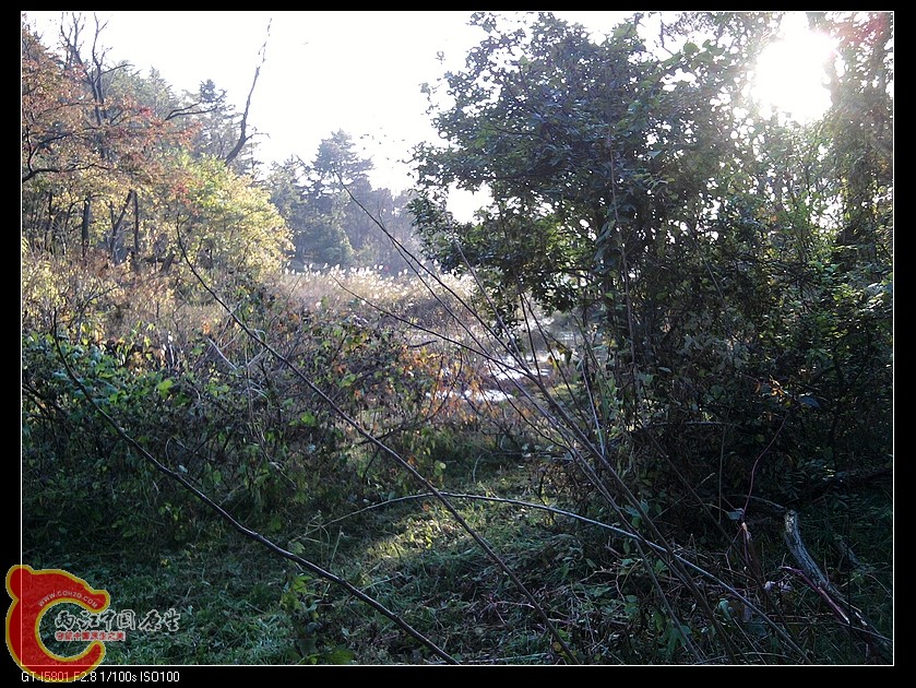 nEO_IMG_2011-11-06 15.50.57.jpg