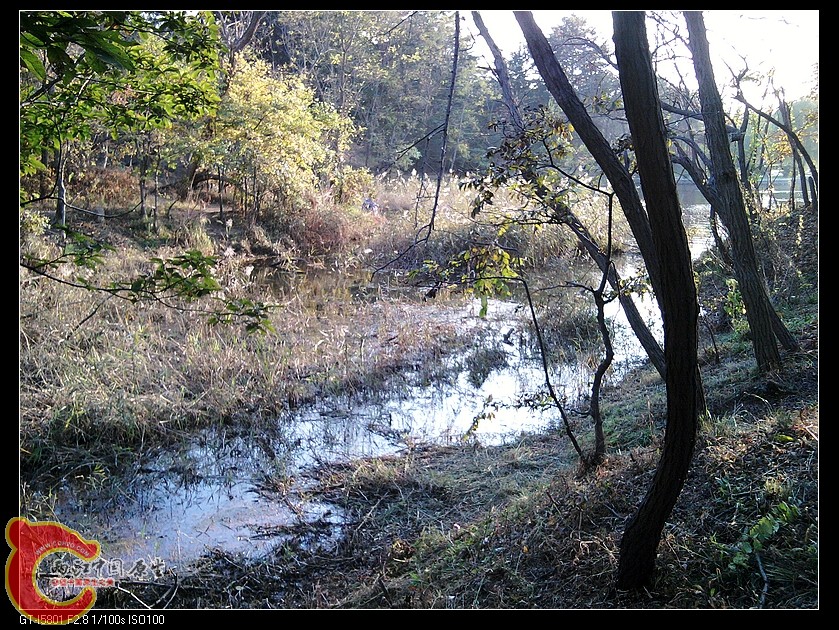 nEO_IMG_2011-11-06 15.51.25.jpg