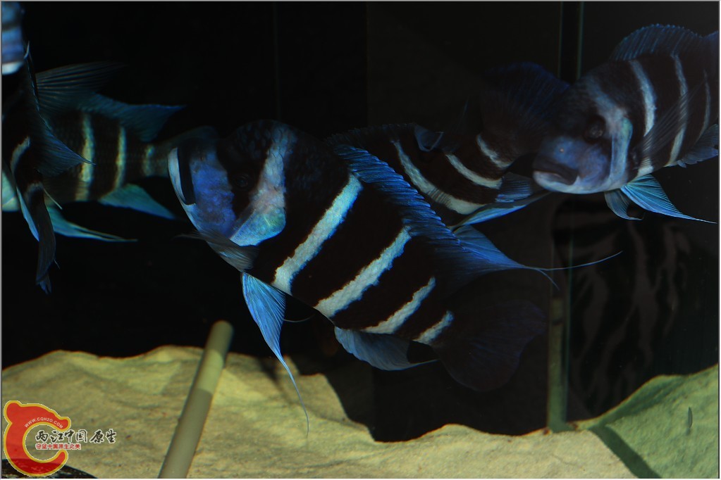 2011110603.jpg