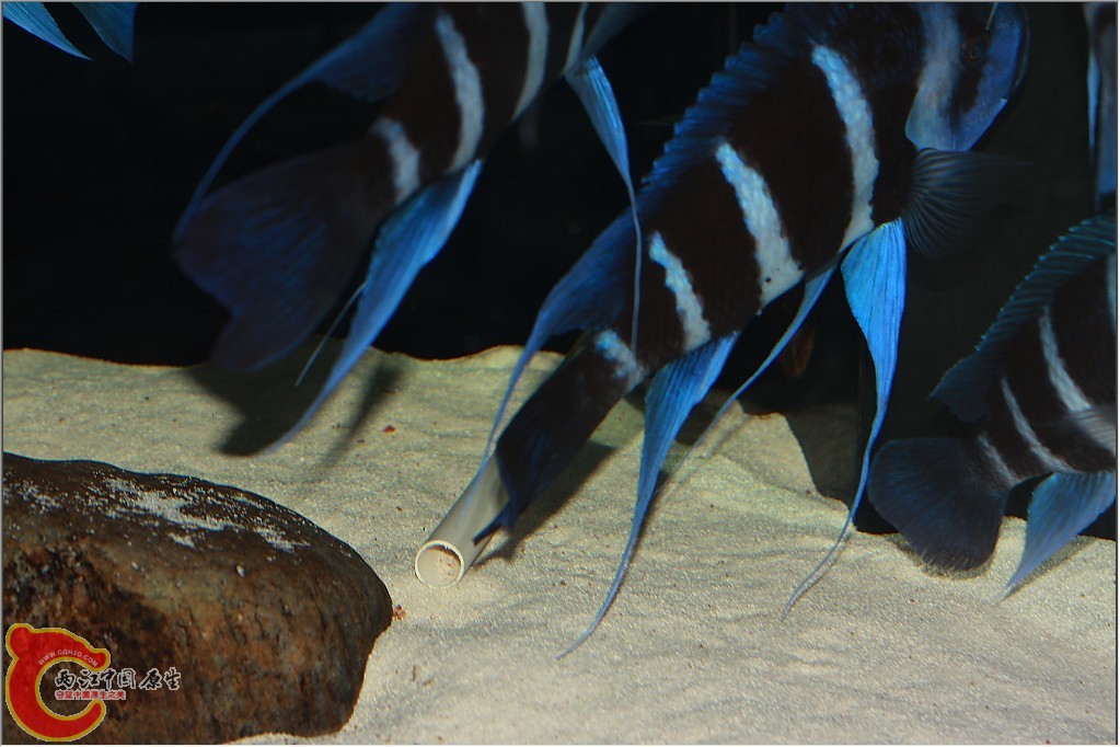 2011110604.jpg