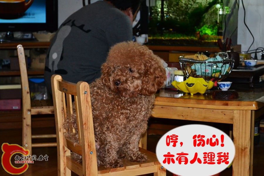 27艾米.jpg