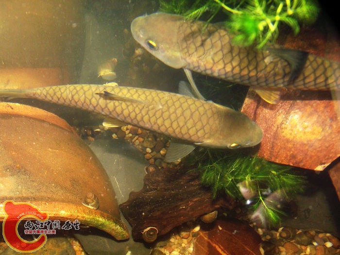 DSCF7683.jpg