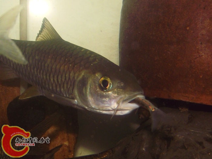 DSCF7587.jpg