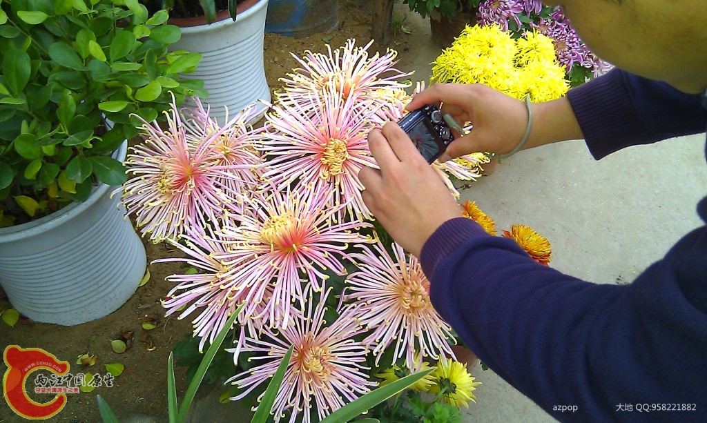 conew_imag0541.jpg