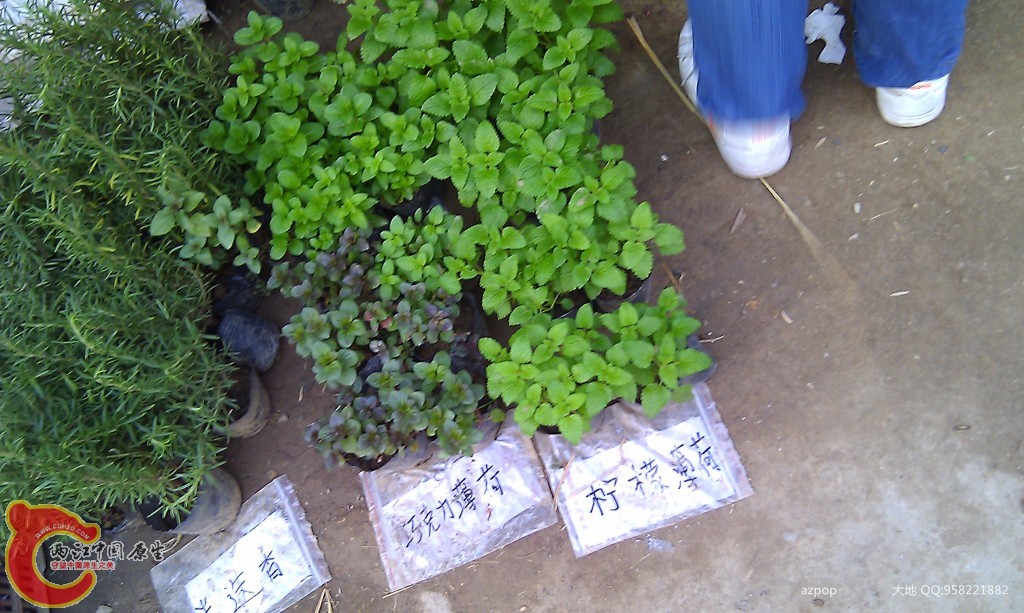 conew_imag0548.jpg