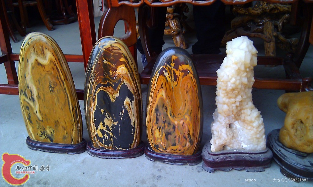 conew_imag0558.jpg