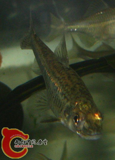 IMG_9839.JPG
