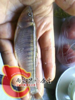 IMG0019A.jpg