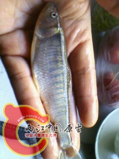 IMG0020A.jpg