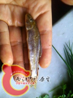 IMG0022A.jpg