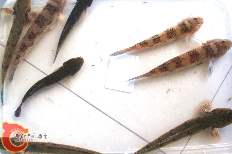 照片 037_副本.jpg