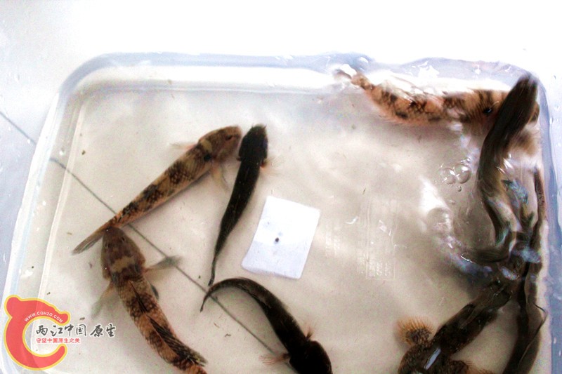 照片 038_副本.jpg