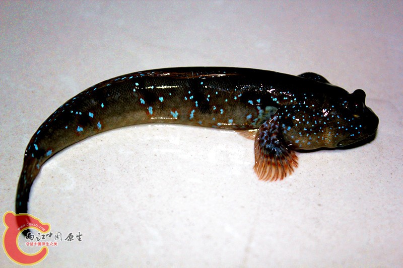 照片 040_副本.jpg