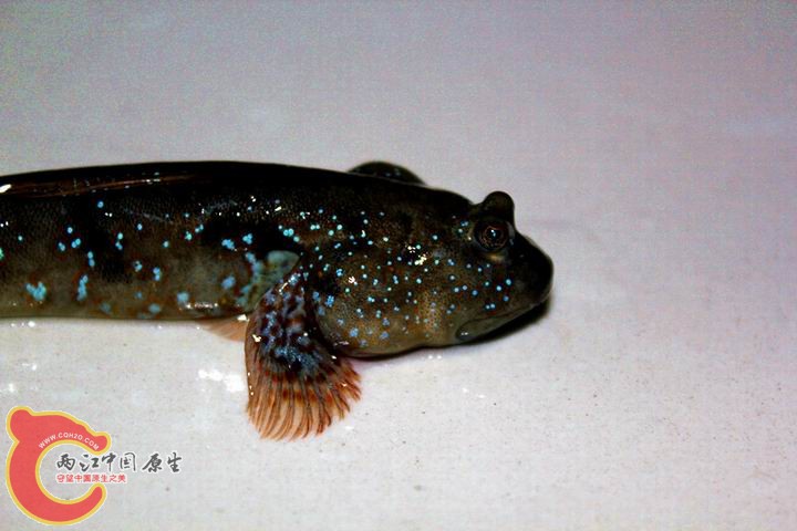 照片 041_副本.jpg