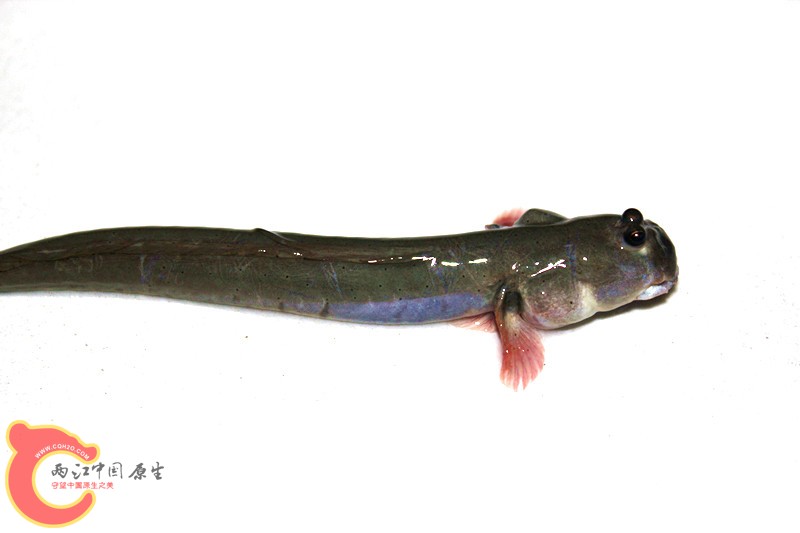 照片 042_副本.jpg