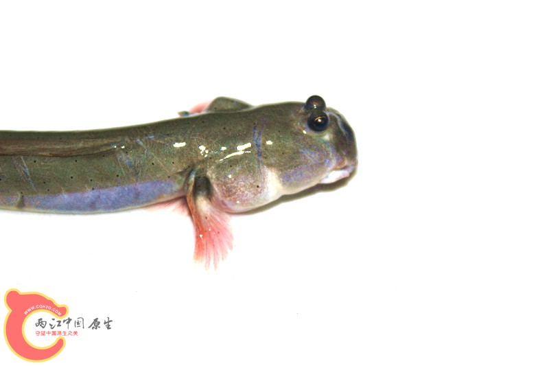 照片 043_副本.jpg