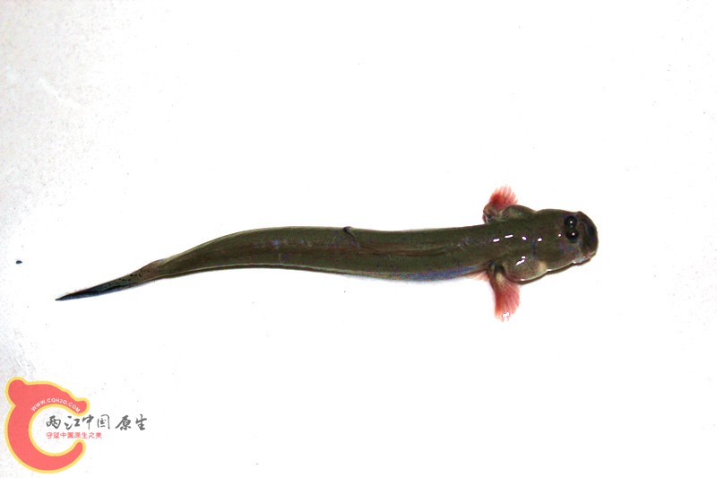 照片 044_副本.jpg