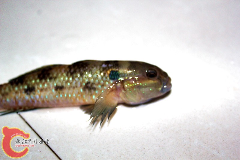 照片 049_副本.jpg